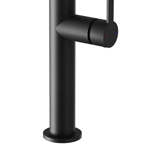 Baterie bucatarie GOODHOME Havarti, alama, negru Baterie bucatarie GOODHOME Havarti, alama, negru
