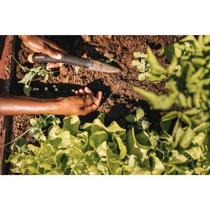 Plantator FISKARS Solid, plastic, negru Plantator FISKARS Solid, plastic, negru
