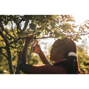Foarfeca FISKARS Plus PowerLever, metal, negru Foarfeca FISKARS Plus PowerLever, metal, negru