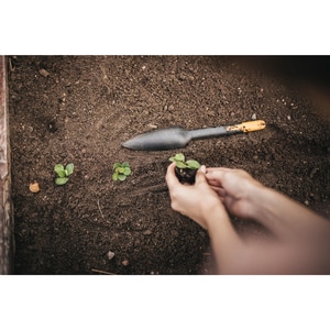 Plantator FISKARS Solid, plastic, negru Plantator FISKARS Solid, plastic, negru