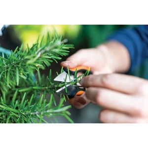 Foarfeca pentru plante aromatice FISKARS SP220 Solid, otel, negru Foarfeca pentru plante aromatice FISKARS SP220 Solid, otel, negru