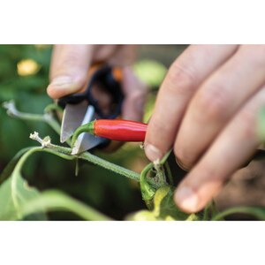 Foarfeca pentru plante aromatice FISKARS SP220 Solid, otel, negru Foarfeca pentru plante aromatice FISKARS SP220 Solid, otel, negru