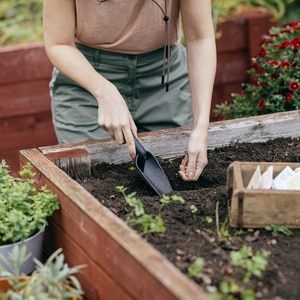 Plantator FISKARS Solid, 30cm, otel Plantator FISKARS Solid, 30cm, otel