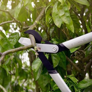 Foarfeca pentru ramuri groase pas cu pas Fiskars PowerGearX- L, 80cm, otel Foarfeca pentru ramuri groase pas cu pas Fiskars PowerGearX- L, 80cm, otel