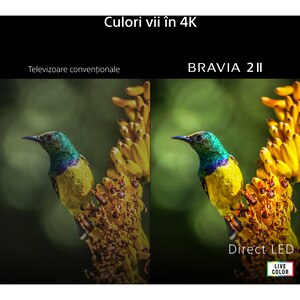 Televizor LED Smart SONY BRAVIA 2 II 55S20M2, Ultra HD 4K, 139cm Televizor LED Smart SONY BRAVIA 2 II 55S20M2, Ultra HD 4K, 139cm