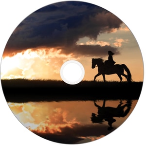 DVD+R DL VERBATIM 43667, 8x, 8.5GB, 25buc DVD+R DL VERBATIM 43667, 8x, 8.5GB, 25buc