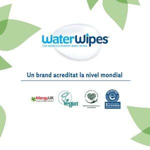 Servetele umede WATERWIPES Soapberry 420075, 4 pachete, 240 buc Servetele umede WATERWIPES Soapberry 420075, 4 pachete, 240 buc