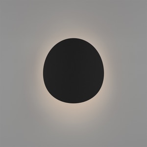 Aplica exterior EGLO Briale, LED, CCT, 5W, IP44, negru Aplica exterior EGLO Briale, LED, CCT, 5W, IP44, negru