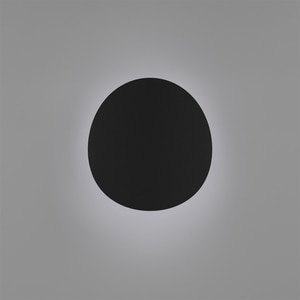 Aplica exterior EGLO Briale, LED, CCT, 5W, IP44, negru Aplica exterior EGLO Briale, LED, CCT, 5W, IP44, negru
