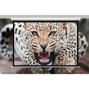 Ecran de proiectie BLACKMOUNT 1/1MN200-BM-ECRPER, 200 x 200 cm Ecran de proiectie BLACKMOUNT 1/1MN200-BM-ECRPER, 200 x 200 cm