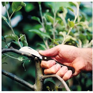 Cutit pentru gradina FISKARS Hippe K62, 17cm, negru Cutit pentru gradina FISKARS Hippe K62, 17cm, negru