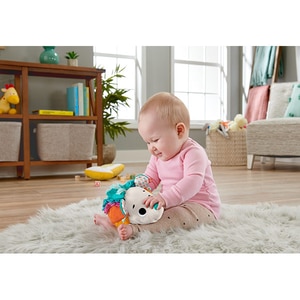 Jucarie interactiva FISHER PRICE Ariciul cu activitati senzoriale MTHBP42O, 0 luni+, multicolor Jucarie interactiva FISHER PRICE Ariciul cu activitati senzoriale MTHBP42O, 0 luni+, multicolor