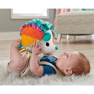 Jucarie interactiva FISHER PRICE Ariciul cu activitati senzoriale MTHBP42O, 0 luni+, multicolor Jucarie interactiva FISHER PRICE Ariciul cu activitati senzoriale MTHBP42O, 0 luni+, multicolor