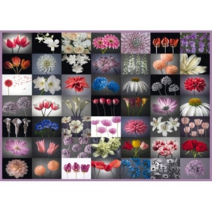 Puzzle SCHMIDT Intampinare cu flori SSP-58297, 12 ani+, 2000 piese Puzzle SCHMIDT Intampinare cu flori SSP-58297, 12 ani+, 2000 piese