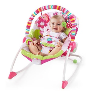 Balansoar 2in1 BRIGHT STARTS Raspberry Garden 10125, 0 luni+, roz-verde deschis Balansoar 2in1 BRIGHT STARTS Raspberry Garden 10125, 0 luni+, roz-verde deschis