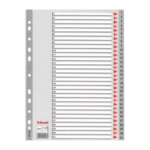 Separator ESSELTE 1-31, 225 x 297 mm, plastic, 11 perforatii, format A4, gri Separator ESSELTE 1-31, 225 x 297 mm, plastic, 11 perforatii, format A4, gri