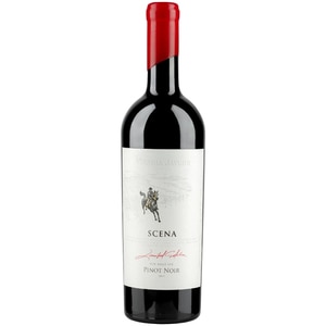 Vin rosu sec Vinaria Javgur Scena Pinot Noir, 0.75L Vin rosu sec Vinaria Javgur Scena Pinot Noir, 0.75L