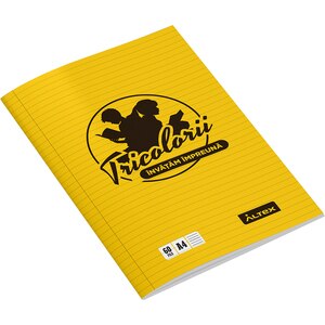 Caiet pentru scoala ECHIPA NATIONALA DE FOTBAL A ROMANIEI, dictando, A4, 60 file, legatura capsata, multicolor Caiet pentru scoala ECHIPA NATIONALA DE FOTBAL A ROMANIEI, dictando, A4, 60 file, legatura capsata, multicolor