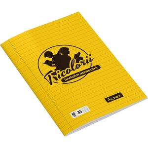 Caiet pentru scoala ECHIPA NATIONALA DE FOTBAL A ROMANIEI, dictando, A5, 60 file, legatura capsata, multicolor Caiet pentru scoala ECHIPA NATIONALA DE FOTBAL A ROMANIEI, dictando, A5, 60 file, legatura capsata, multicolor