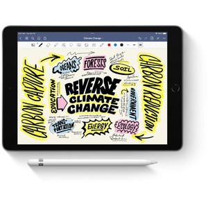 APPLE Pencil 1st Gen pentru iPad 11/10/9, iPad Air 3, iPad Pro 12.9, MYQW3ZM/A, alb APPLE Pencil 1st Gen pentru iPad 11/10/9, iPad Air 3, iPad Pro 12.9, MYQW3ZM/A, alb