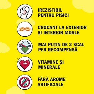 Recompense pentru pisici DREAMIES, Branza, 6 x 60 g Recompense pentru pisici DREAMIES, Branza, 6 x 60 g