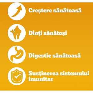 Hrana uscata pentru caini PEDIGREE, Junior, Pasare si Legume, 500 g Hrana uscata pentru caini PEDIGREE, Junior, Pasare si Legume, 500 g