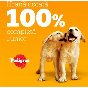 Hrana uscata pentru caini PEDIGREE, Junior, Pasare si Legume, 500 g Hrana uscata pentru caini PEDIGREE, Junior, Pasare si Legume, 500 g