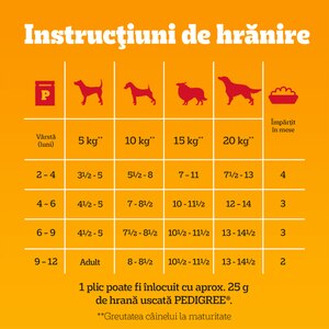 Hrana umeda pentru caini PEDIGREE, Junior, Mix in aspic, 40 x 100 g Hrana umeda pentru caini PEDIGREE, Junior, Mix in aspic, 40 x 100 g