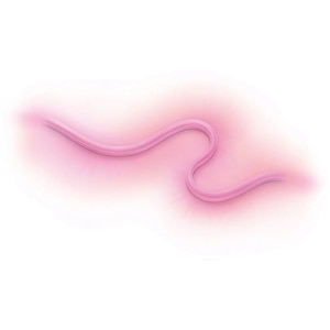Banda LED exterior Smart WIZ, RGB, 24W, 630lm, 5m Banda LED exterior Smart WIZ, RGB, 24W, 630lm, 5m