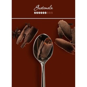Cafea boabe ILLY Arabica Selection Guatemala, 250g Cafea boabe ILLY Arabica Selection Guatemala, 250g