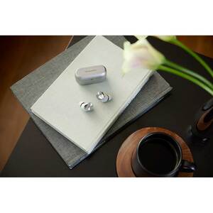 Casti TECHNICS EAH-AZ80E-S, True Wireless, Bluetooth, In-ear, Microfon, Noise Cancelling, Carcasa incarcare wireless, argintiu Casti TECHNICS EAH-AZ80E-S, True Wireless, Bluetooth, In-ear, Microfon, Noise Cancelling, Carcasa incarcare wireless, argintiu