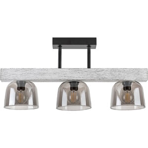 Plafoniera RABALUX Cardamom, 40W, E14, IP20, Argintiu Plafoniera RABALUX Cardamom, 40W, E14, IP20, Argintiu