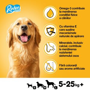 Recompensa pentru caini PEDIGREE Rodeo Duos, Vita si branza, 10 x 123g Recompensa pentru caini PEDIGREE Rodeo Duos, Vita si branza, 10 x 123g