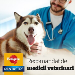 Recompensa pentru caini PEDIGREE DentaStix, Cereale, 8 x 270g Recompensa pentru caini PEDIGREE DentaStix, Cereale, 8 x 270g