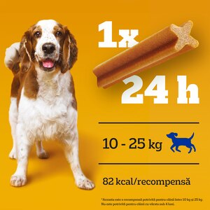 Recompensa pentru caini PEDIGREE DentaStix, Cereale, 8 x 180g Recompensa pentru caini PEDIGREE DentaStix, Cereale, 8 x 180g