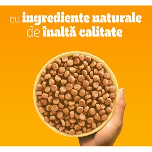 Hrana uscata pentru caini PEDIGREE, Junior, Pasare si legume, 3 kg Hrana uscata pentru caini PEDIGREE, Junior, Pasare si legume, 3 kg
