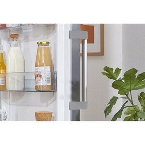 Frigider cu o usa GORENJE R619EES5, 398 l, H 185 cm, Clasa E, argintiu Frigider cu o usa GORENJE R619EES5, 398 l, H 185 cm, Clasa E, argintiu