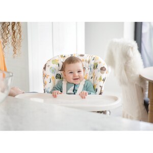Scaun de masa JOIE Mimzy Snacker Alphabet H1127AAABC170, 6 luni+, multicolor Scaun de masa JOIE Mimzy Snacker Alphabet H1127AAABC170, 6 luni+, multicolor
