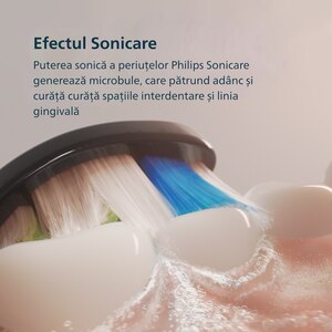 Periuta de dinti electrica PHILIPS Sonicare 5300 HX7101/01, 62000 miscari/min, 1 program, 1 capat, negru Periuta de dinti electrica PHILIPS Sonicare 5300 HX7101/01, 62000 miscari/min, 1 program, 1 capat, negru