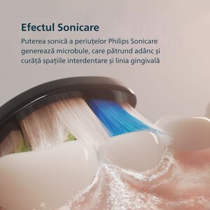 Periuta de dinti electrica PHILIPS Sonicare 5300 HX7101/02, 62000 miscari/min, 1 program, 1 capat, negru Periuta de dinti electrica PHILIPS Sonicare 5300 HX7101/02, 62000 miscari/min, 1 program, 1 capat, negru