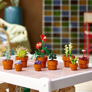 LEGO Botanicals: Plante de mici dimensiuni 10329, 18 ani+, 758 piese LEGO Botanicals: Plante de mici dimensiuni 10329, 18 ani+, 758 piese