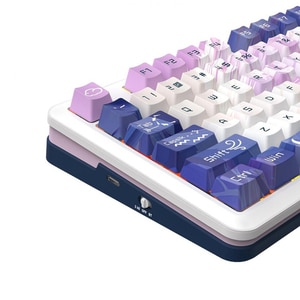 Tastatura Gaming Wireless mecanica REDRAGON Cyrus Pro, Bluetooth, USB, Layout US, alb Tastatura Gaming Wireless mecanica REDRAGON Cyrus Pro, Bluetooth, USB, Layout US, alb
