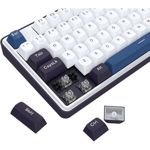 Tastatura Gaming mecanica REDRAGON Wyvern, USB, Layout US, alb-albastru Tastatura Gaming mecanica REDRAGON Wyvern, USB, Layout US, alb-albastru