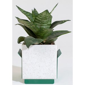 Suport ghiveci flori SPIN Fliss, 13.2 x 13.8 x 12.2 cm, verde Suport ghiveci flori SPIN Fliss, 13.2 x 13.8 x 12.2 cm, verde