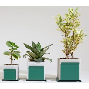 Suport ghiveci flori SPIN Fliss, 11.8 x 10.4 x 9.8 cm, verde Suport ghiveci flori SPIN Fliss, 11.8 x 10.4 x 9.8 cm, verde