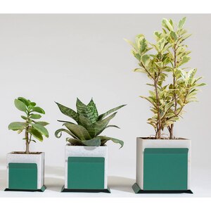Suport ghiveci flori SPIN Fliss, 13.2 x 13.8 x 12.2 cm, verde Suport ghiveci flori SPIN Fliss, 13.2 x 13.8 x 12.2 cm, verde