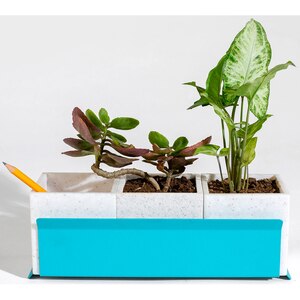 Suport ghiveci flori SPIN Fliss, 28.5 x 11 x 9 cm, albastru Suport ghiveci flori SPIN Fliss, 28.5 x 11 x 9 cm, albastru