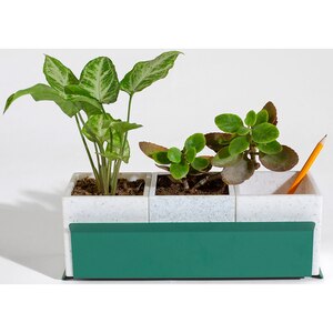 Suport ghiveci flori SPIN Fliss, 28.5 x 11 x 9 cm, verde Suport ghiveci flori SPIN Fliss, 28.5 x 11 x 9 cm, verde