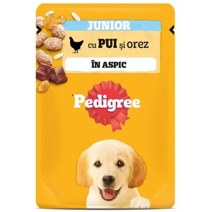 Hrana umeda pentru caini PEDIGREE, Junior, Pui si orez in aspic, 24 x 100 g Hrana umeda pentru caini PEDIGREE, Junior, Pui si orez in aspic, 24 x 100 g