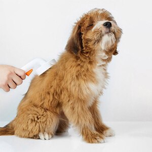Perie animale de companie PETKIT Large Grooming 2, 19 x 8.5 cm, alb Perie animale de companie PETKIT Large Grooming 2, 19 x 8.5 cm, alb